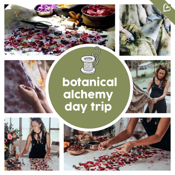 Adults Day Trip - Botanical Alchemy